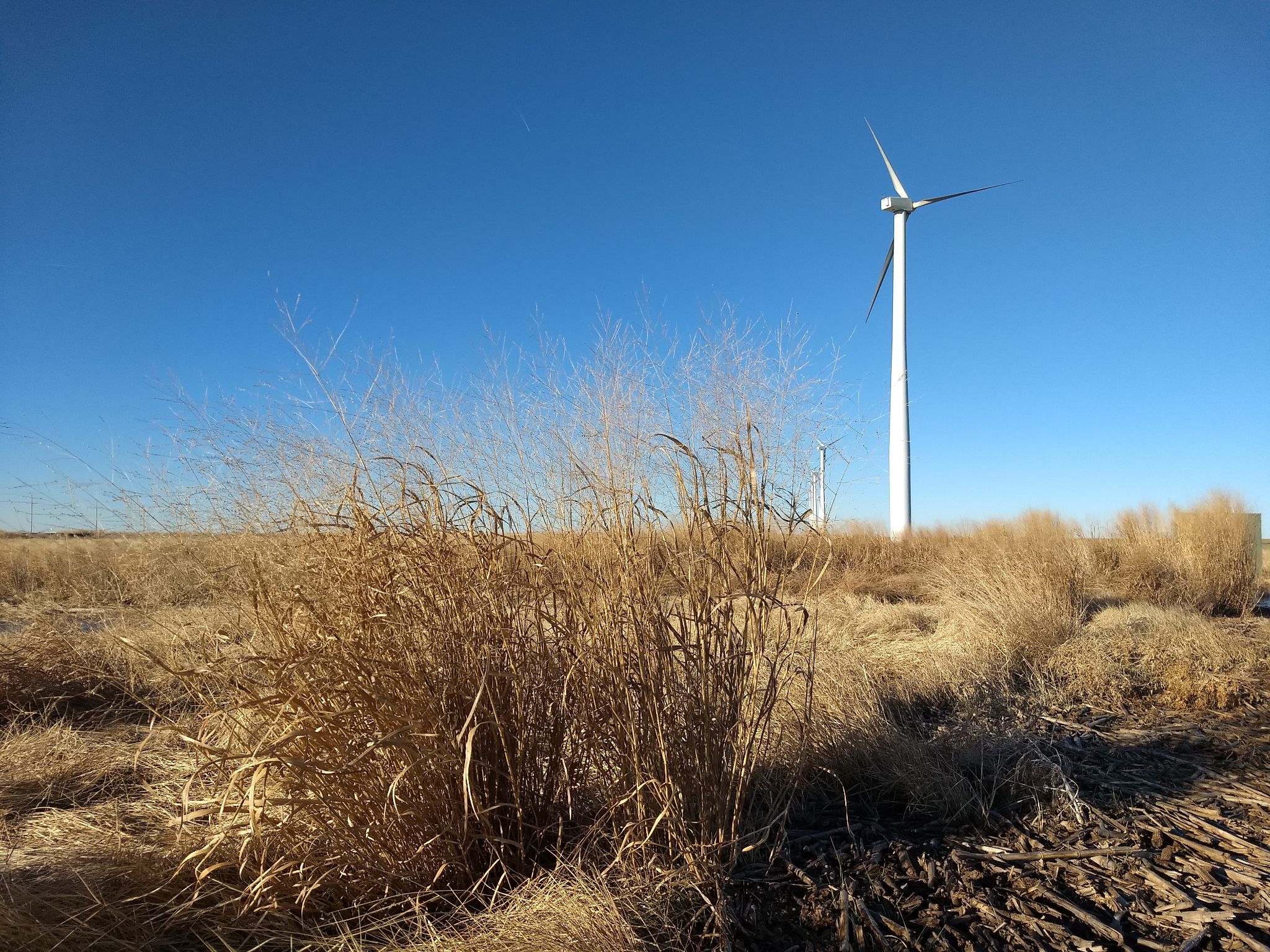 Gray County Wind Farm