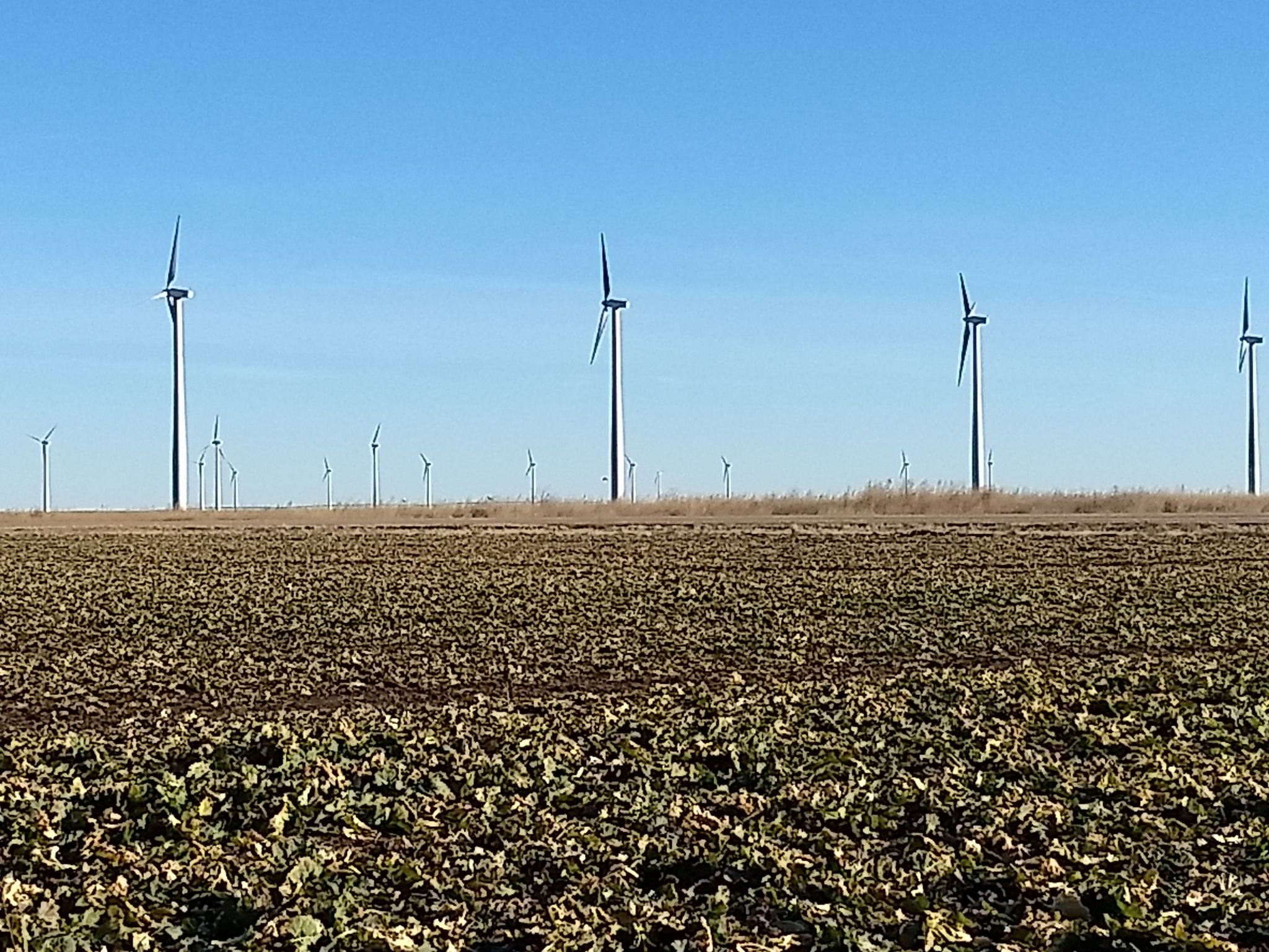 Gray County Wind Farm